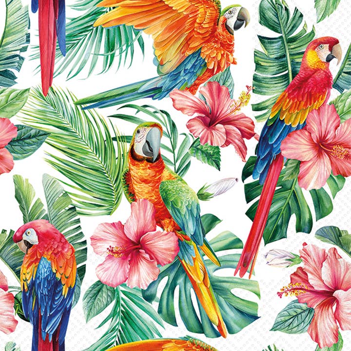 Paper Cocktail Napkins Pack of 20 Scarlet Macaw & Hibiscus for wholesale by Boston International