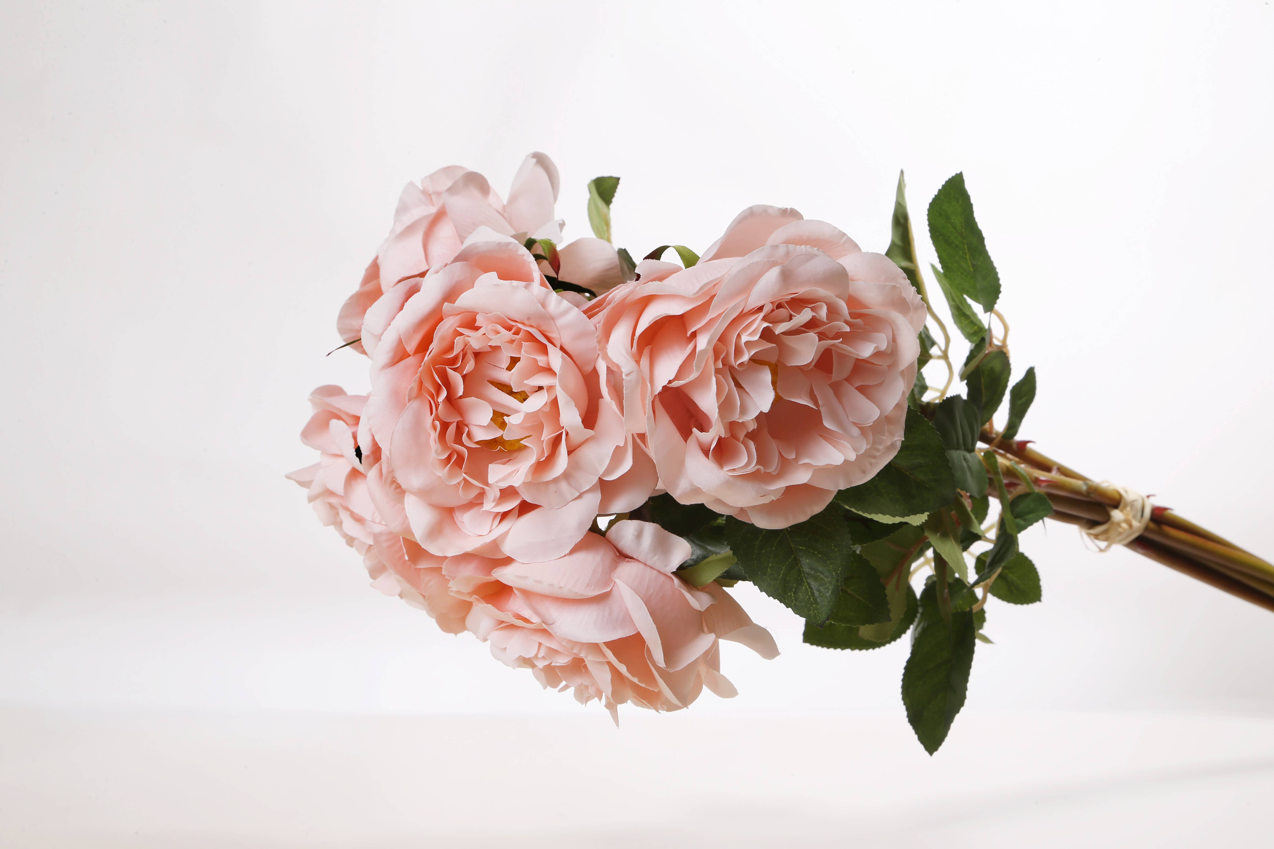Mezu Silk Flowers – wholesale Artificial flowers – Artificial Blush Pink Large Single Old English Rose1