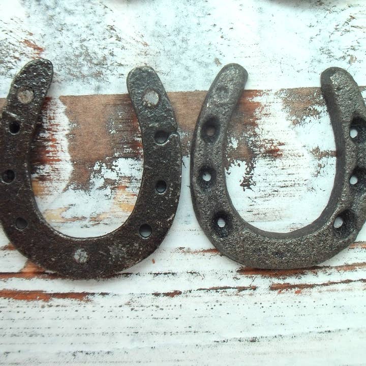 The Lucky Horse Company - Wholesale Magnet - Lucky Mini Horseshoe Magnets (set of 12)2