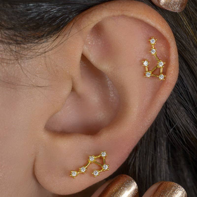 StockJWL - Wholesale Stud/Post Earrings - 12 Zodiac Earrings, Constellation Stud Earring Stud Piercing Tragus Helix Lobe and Cartilage Silver And Gold38