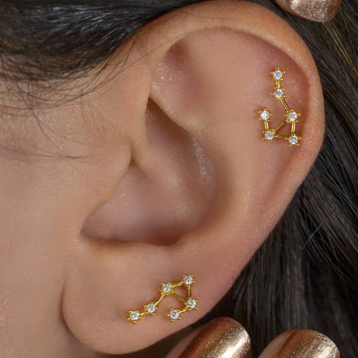 StockJWL - Wholesale Stud/Post Earrings - 12 Zodiac Earrings, Constellation Stud Earring Stud Piercing Tragus Helix Lobe and Cartilage Silver And Gold38