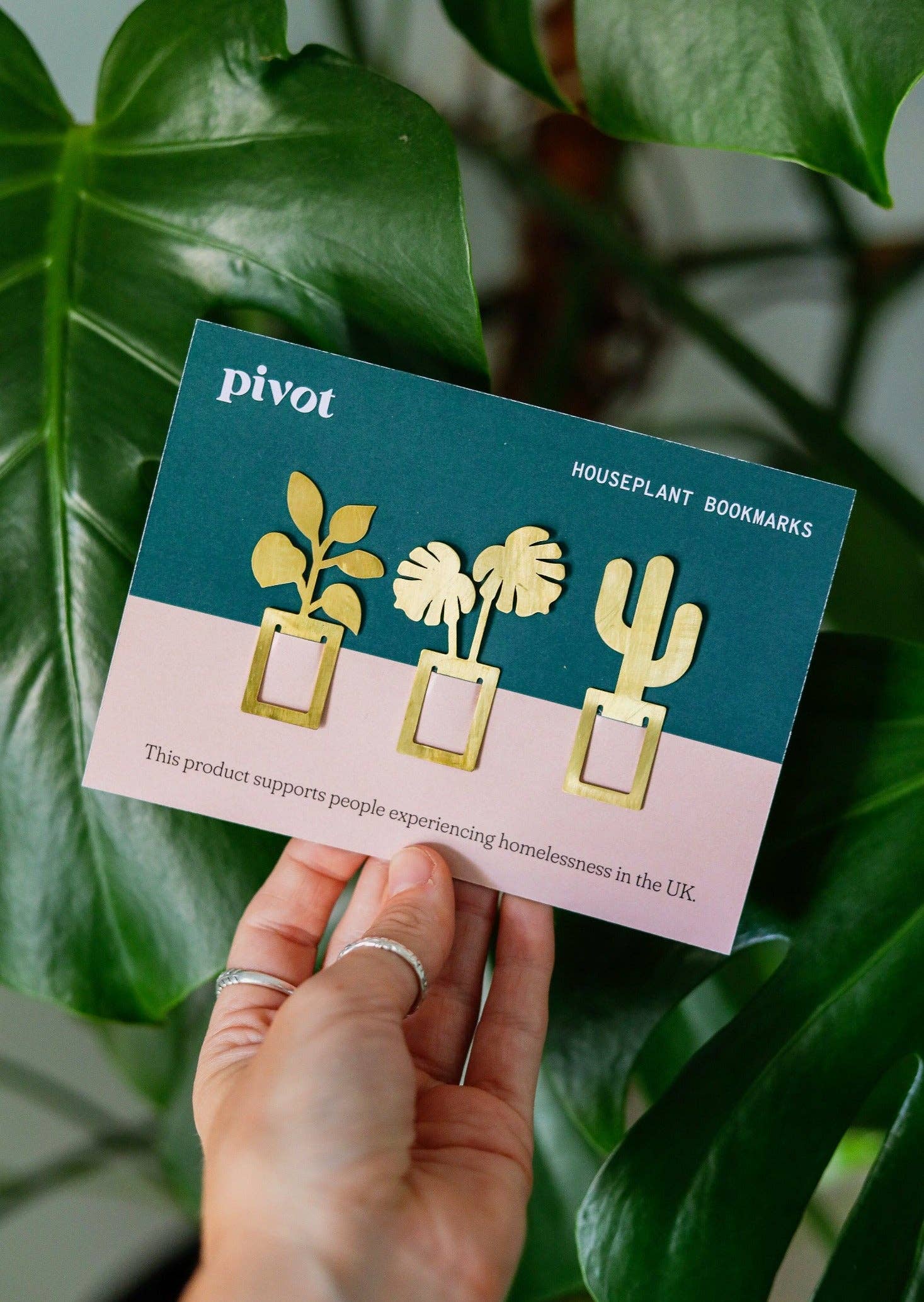 Pivot - Wholesale Ornament Set - The Ecologist Gift Set3