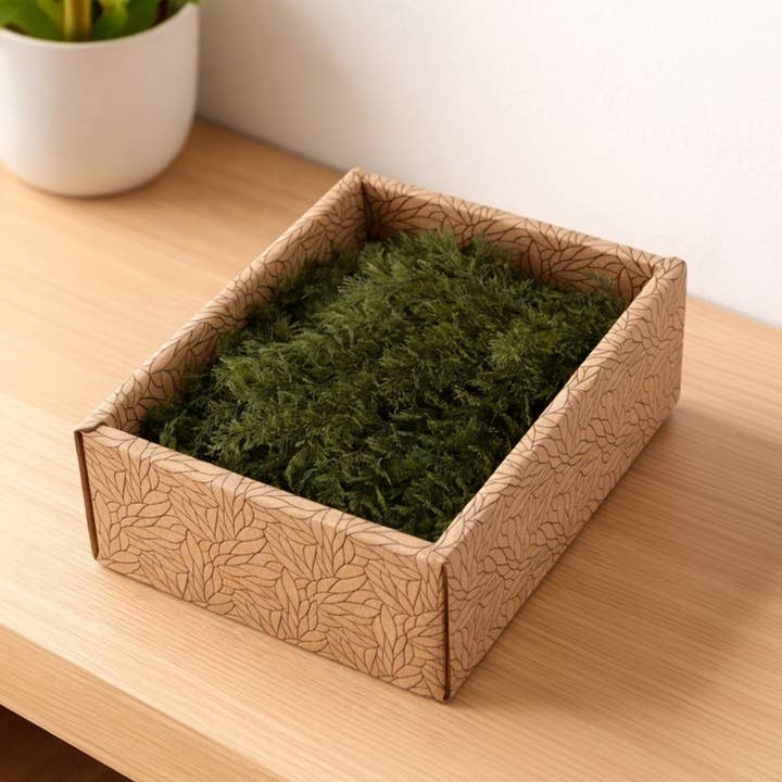 Folhagem Estabilizada - Samambaia Aérea - Creabox DIY por atacado de SecondFlor