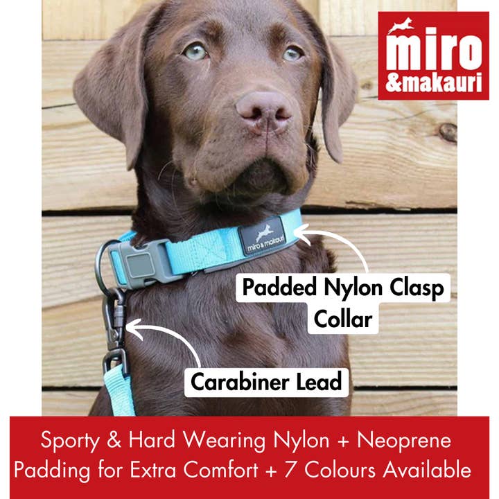 Miro & Makauri - Wholesale Pet Collar - Dog - MIro & Makauri Neoprene Padded Nylon Clasp Dog Collar