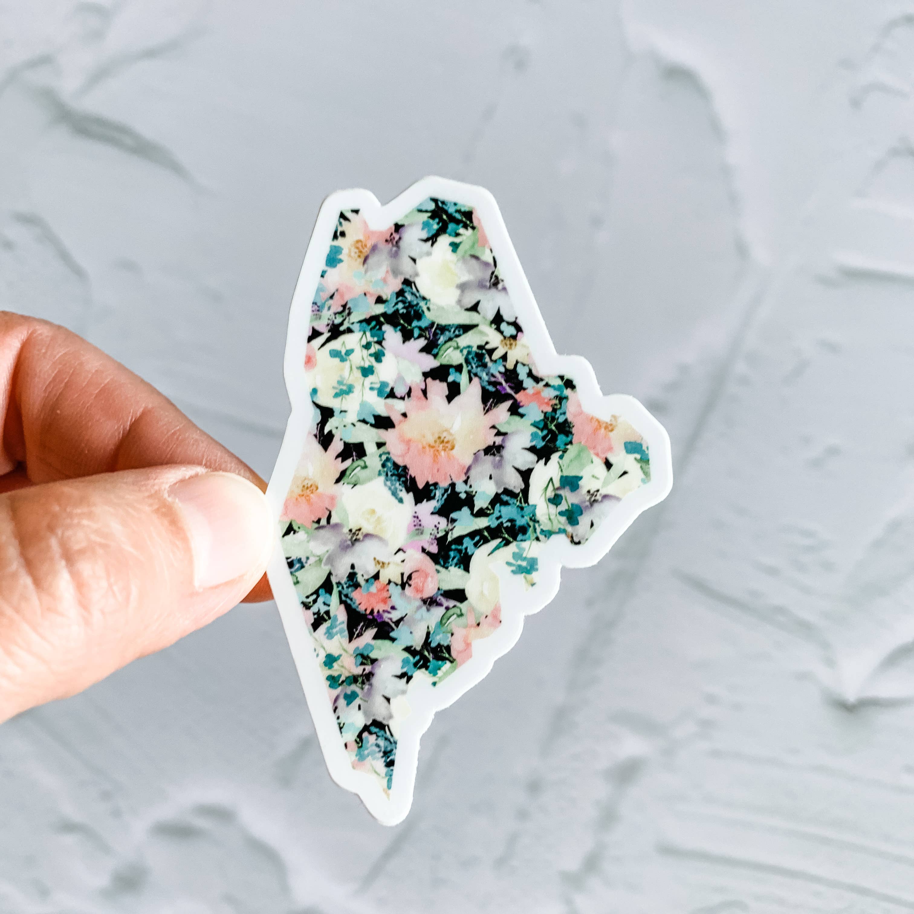 Wildflower Paper Company - Vente Autocollant - Pack de démarrage autocollant État du Maine7