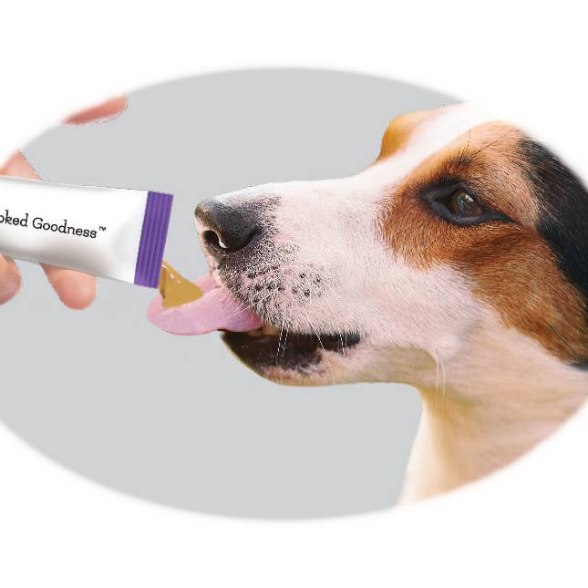 Caru - Wholesale Pet Treats - Dog - Cafe Nara Lickable Treat for Dogs - PB