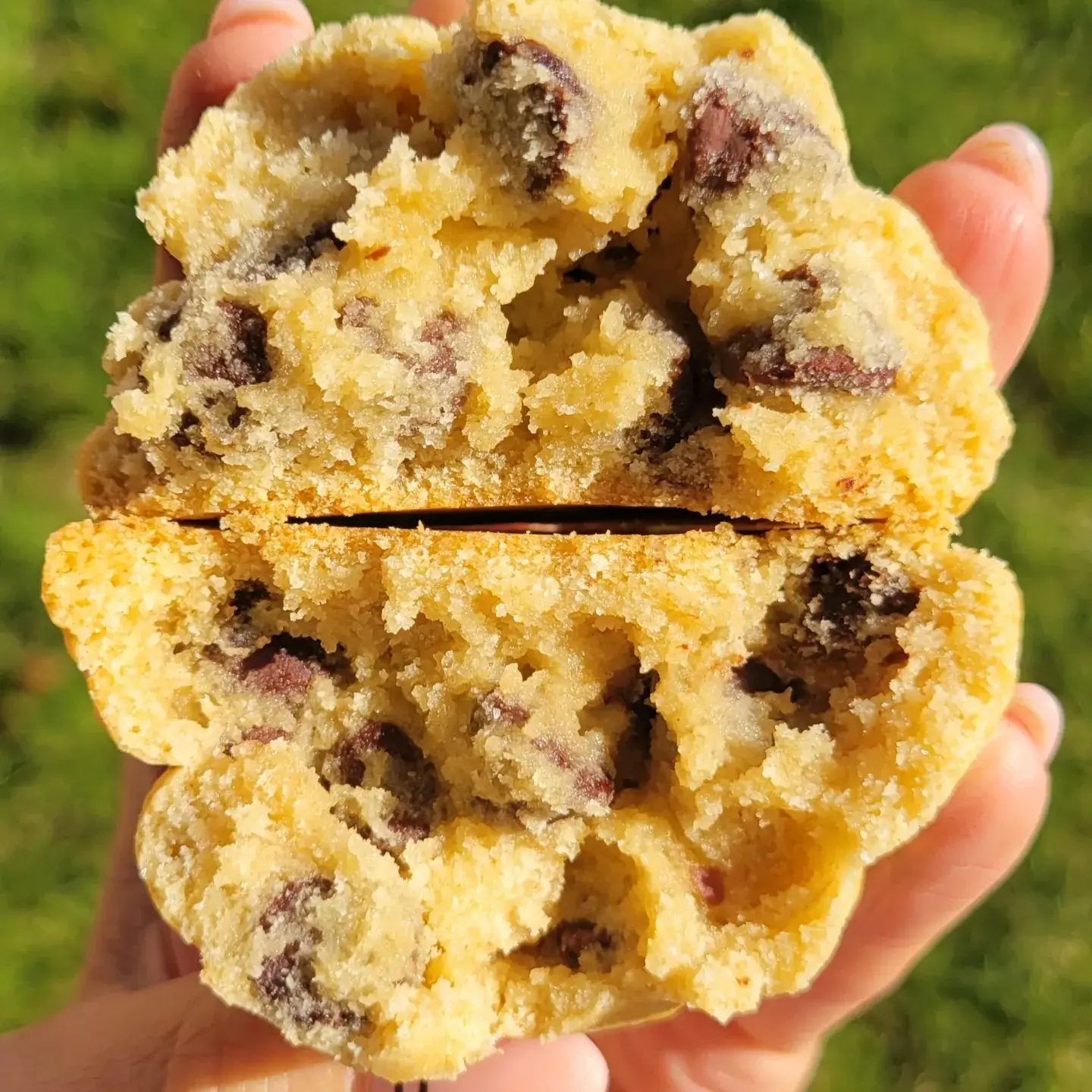 My Big Fat Cookie - Wholesale Cookie - Little Fatties - Gluten "Friendly*" Chocolate Chip - 2 Pack2