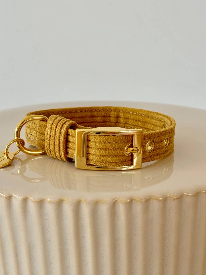 KLASSISK HUNDEHALSBÅND - HONNING SENNEP for engroshandel hos Moniandme