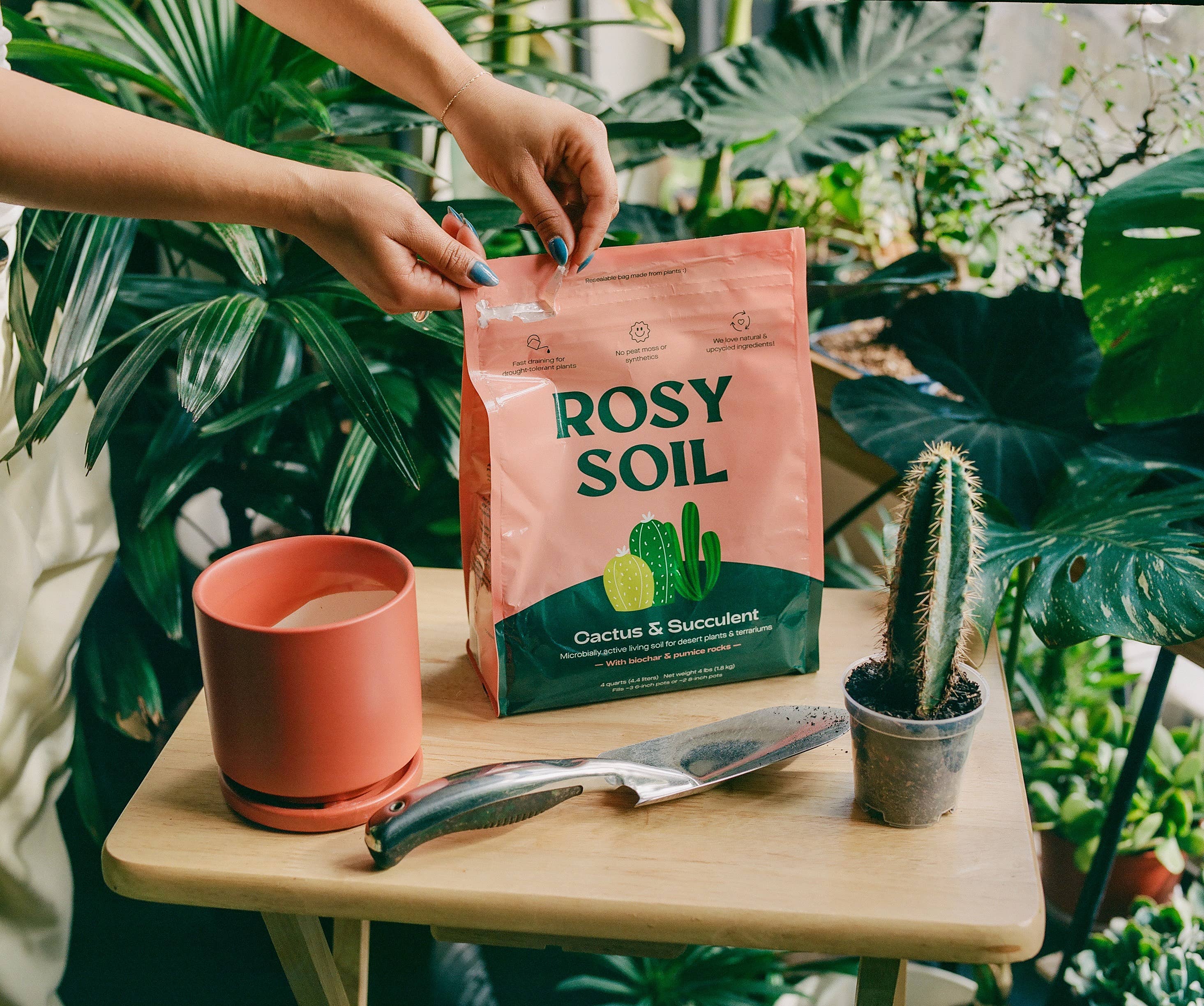 Rosy Soil - Vente Terreau de plantation/rempotage - Mélange biologique pour cactus et plantes succulentes, 4 pintes3
