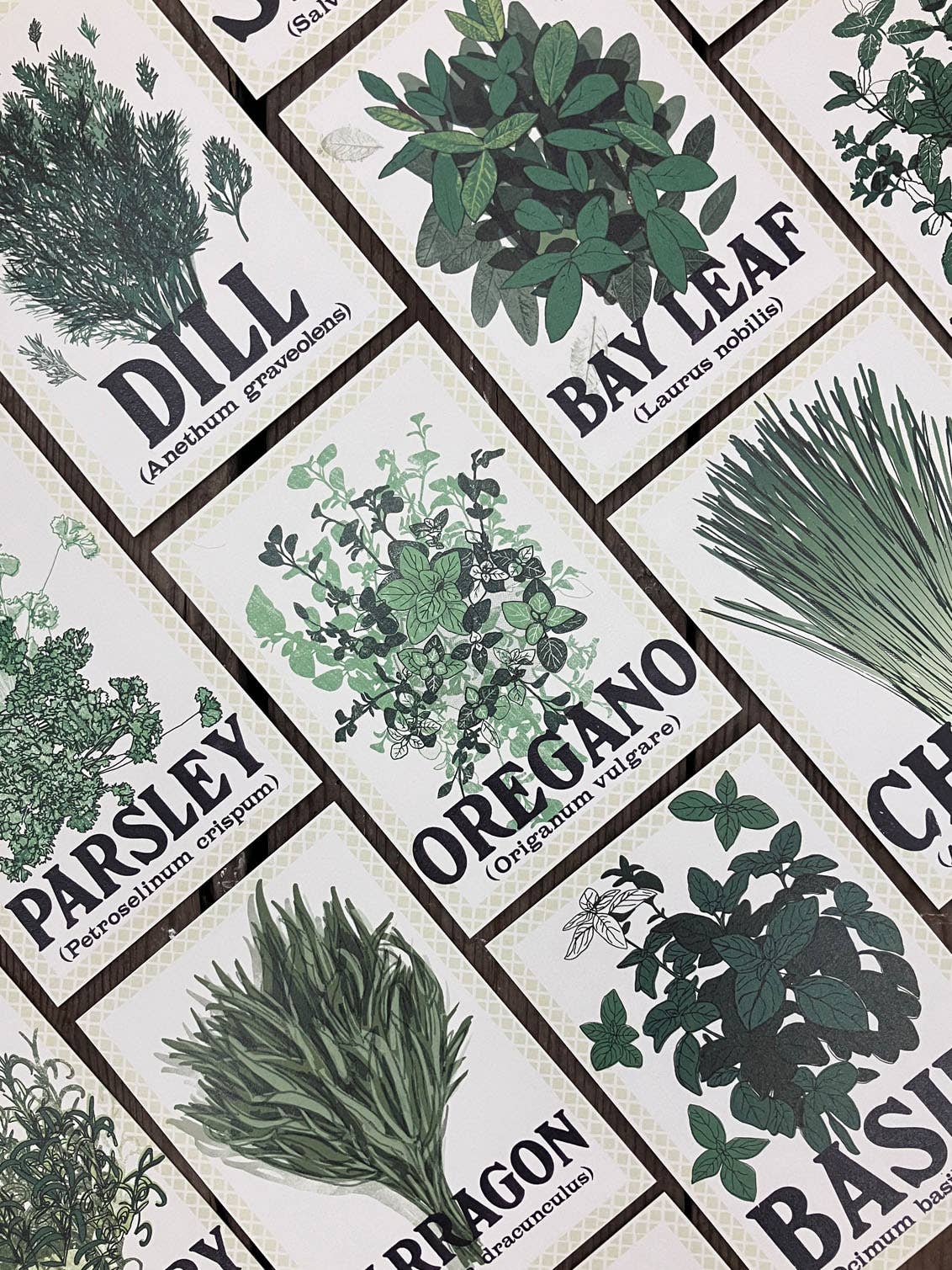 Jo Stafford – wholesale Everyday greeting card – Dill 127 x 177mm Portrait Greetings Card5