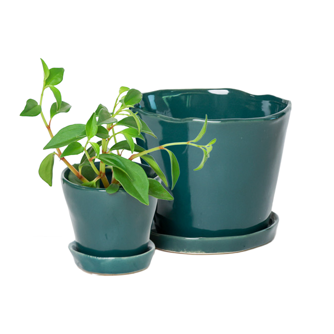 Chive - Wholesale Plant Pot - Tika Ceramic Pots With Saucer And Drainage Hole - 3"8