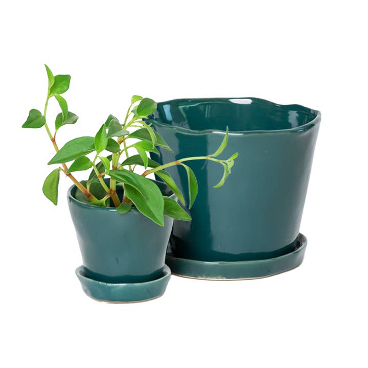 Chive - Wholesale Plant Pot - Tika Ceramic Pots With Saucer And Drainage Hole - 3"8