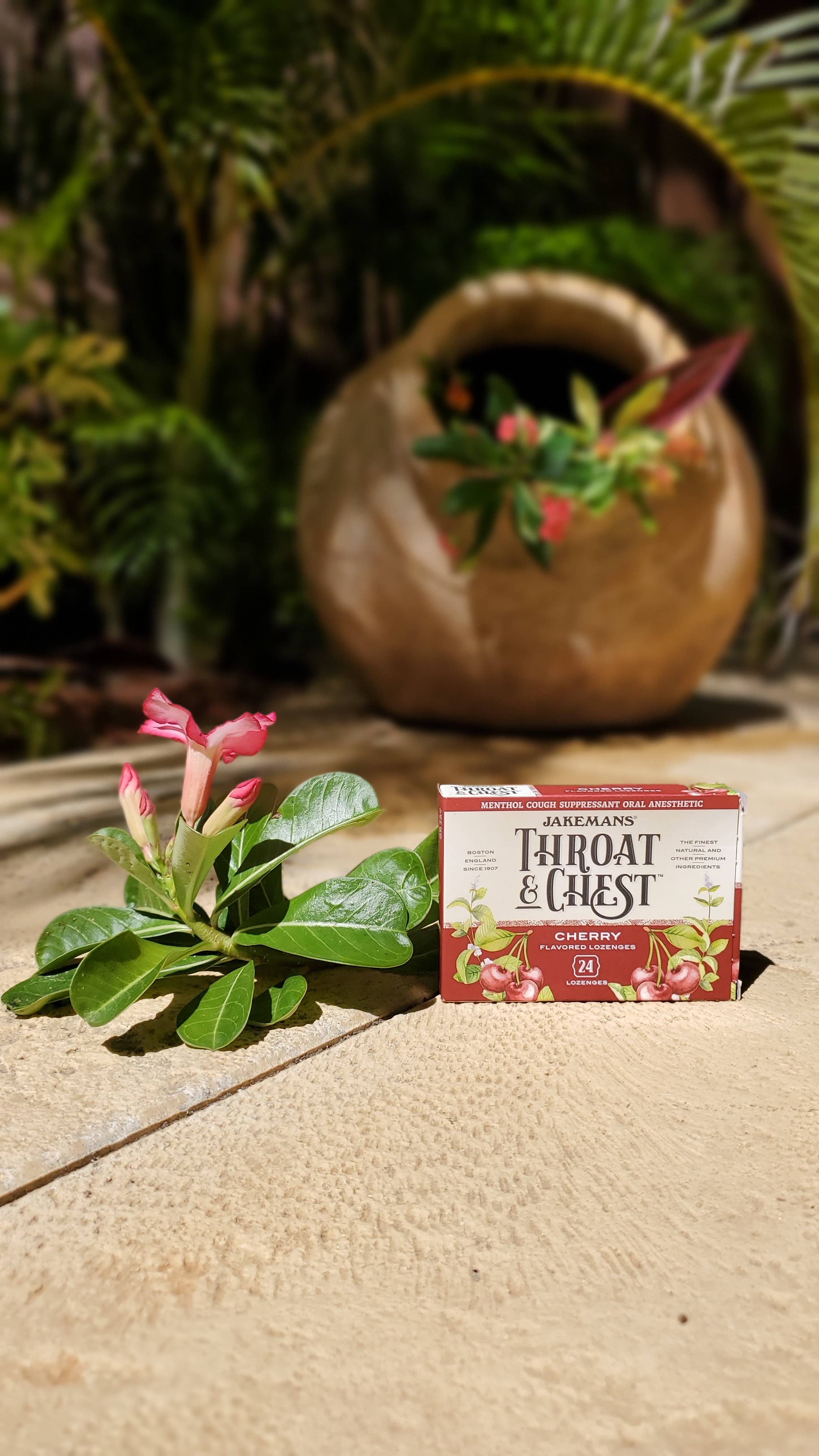 BT Remedies - Vente Pastilles/bonbons contre la toux - Boîte de pastilles cerises pour la gorge et la poitrine de Jakemans - 24 Ct1