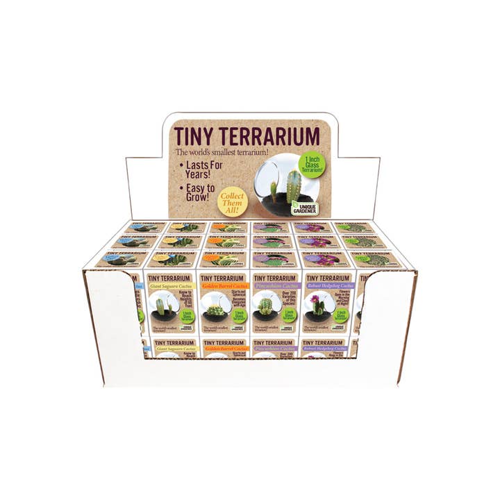 Silver Circle Products - Wholesale Retailer Display - Home & Living - Tiny Terrarium Cactus Counter Display with 6 Varieties