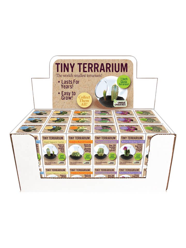 Tiny Terrarium Cactus Counter Display with 6 Varieties for wholesale by Silver Circle Products