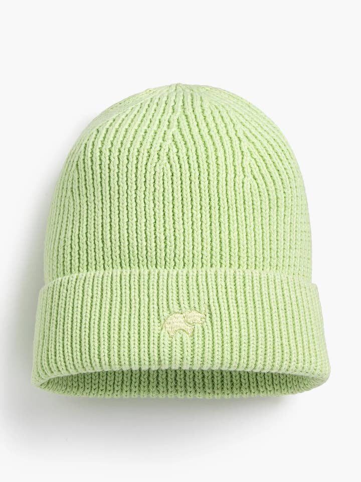 Chunky Knit Cap_Lime Green for wholesale by Monica + Andy