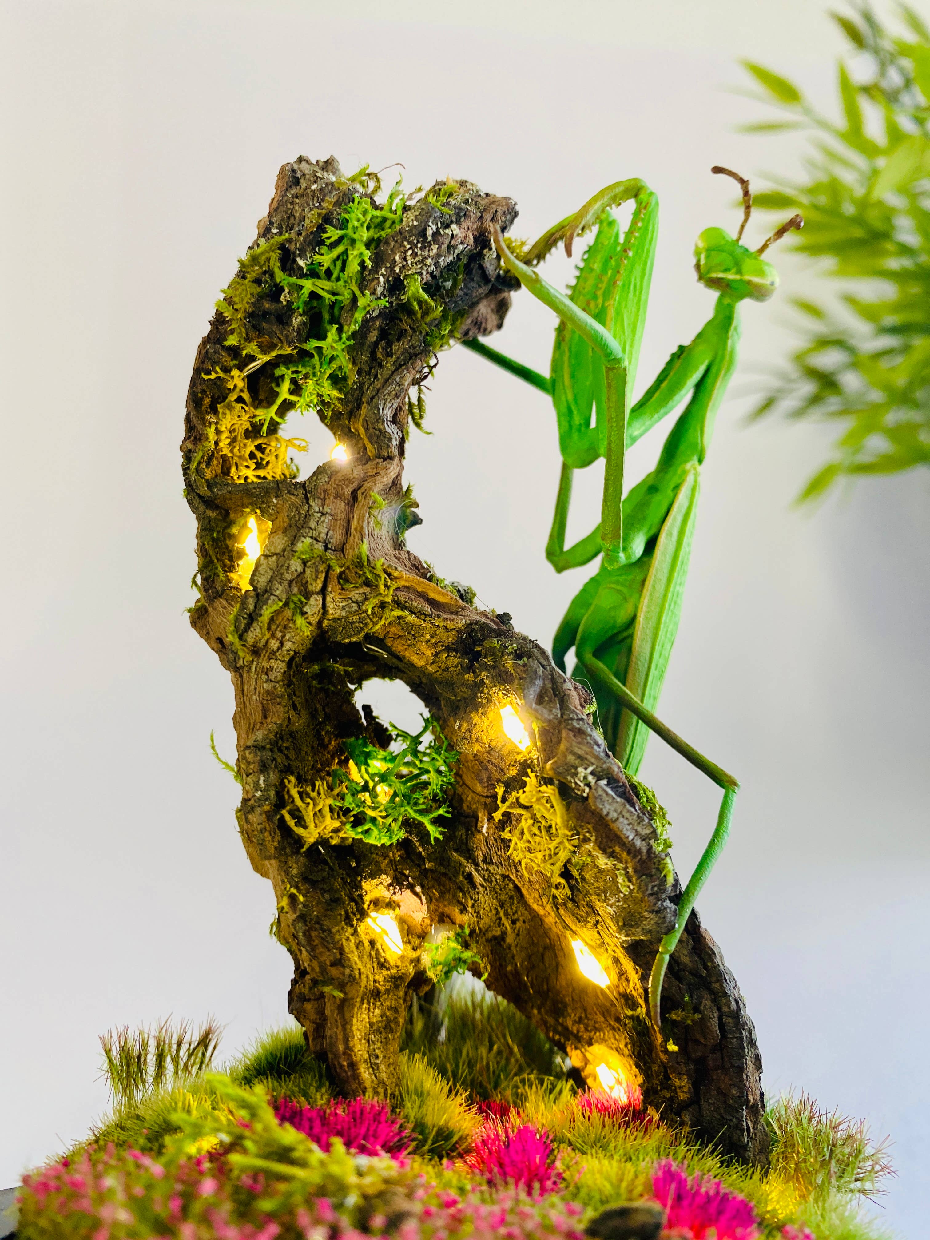Thingx - Wholesale Decorative Tabletop Object - The praying mantis, curiosity under a glass dome9