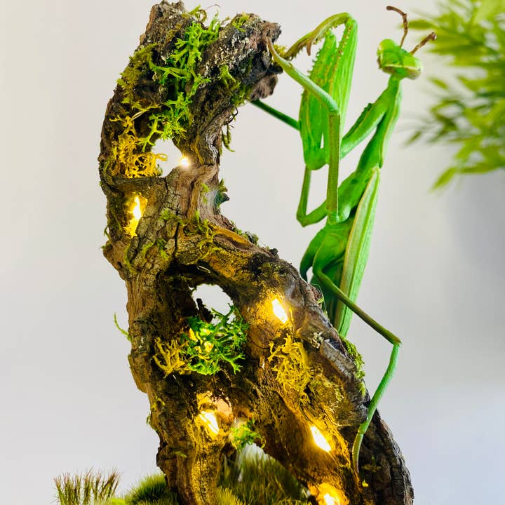 Thingx - Wholesale Decorative Tabletop Object - The praying mantis, curiosity under a glass dome9