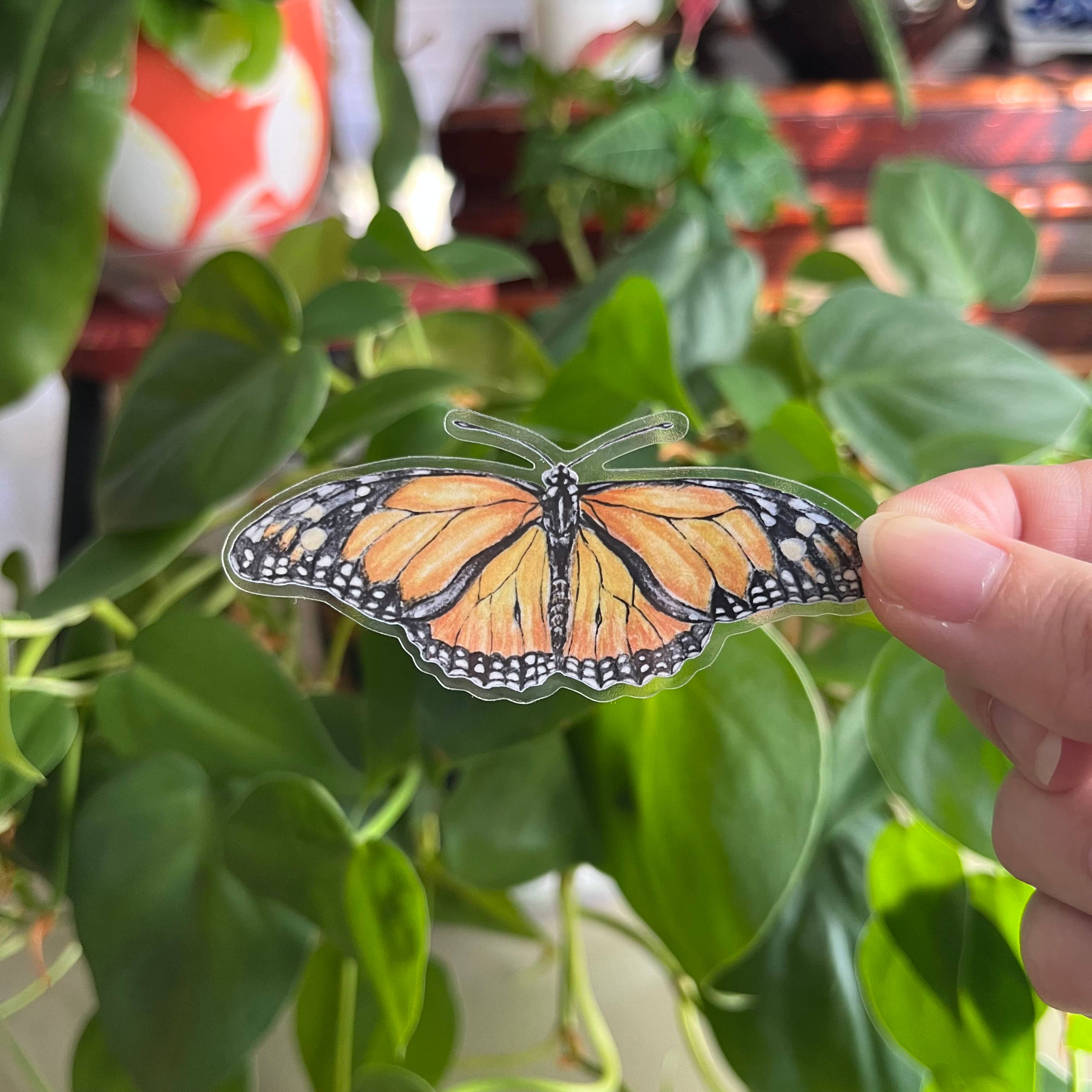 Lauren Noel Studio - Wholesale Sticker - Monarch Butterfly Sticker