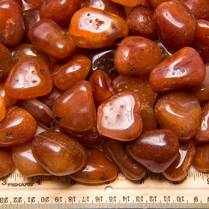 Fantasia Mining - Wholesale Spiritual Stone/Crystal - Tumbled Carnelian - L - EX Grade - Brazil (1 lb)2