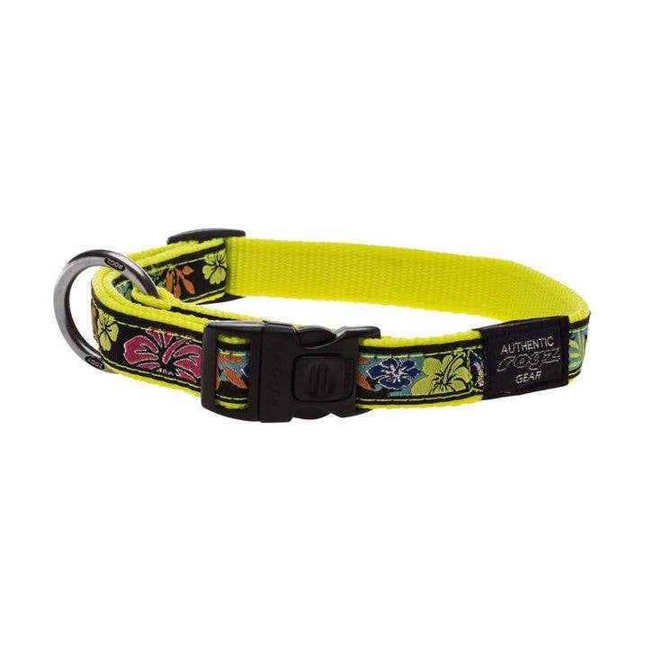 Pets One – wholesale Pet collar – Dog – Rogz Coleira Beach Bum 20mm3