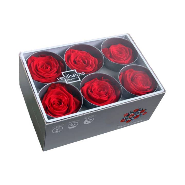 Wildflowers by Floriette - Wholesale Dried/Pressed Flowers - Rose Standard W-Box 6 Red1