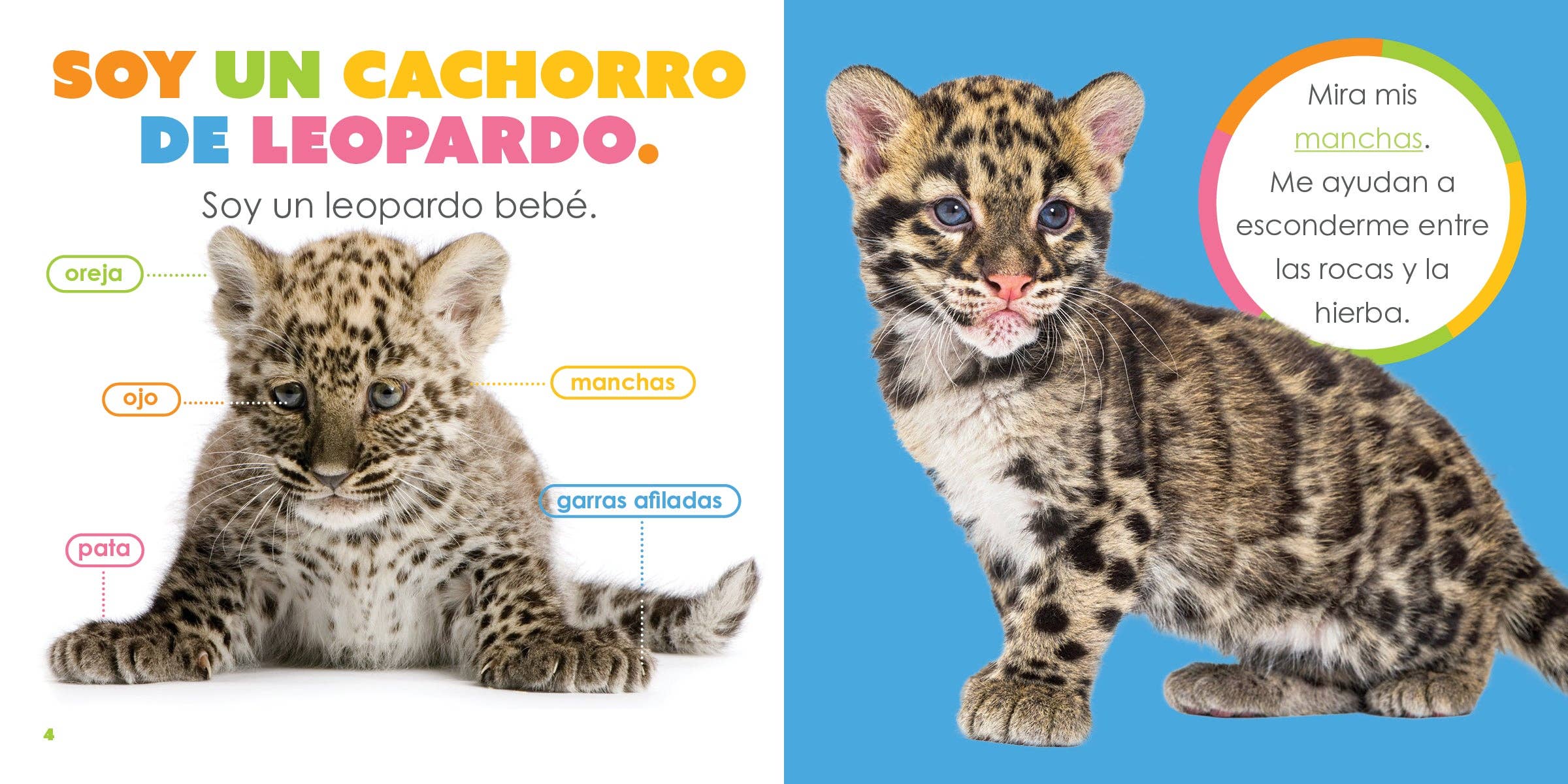 The Creative Company – wholesale Bok för unga läsare (6–8) – Leopardungar2