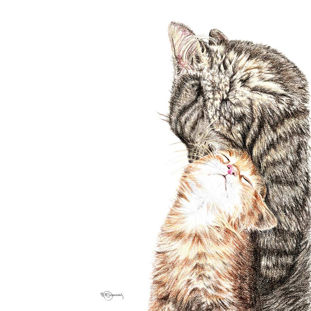 LE NID atelier - Wholesale Everyday Greeting Card - Mama cat with kitten - greeting card2