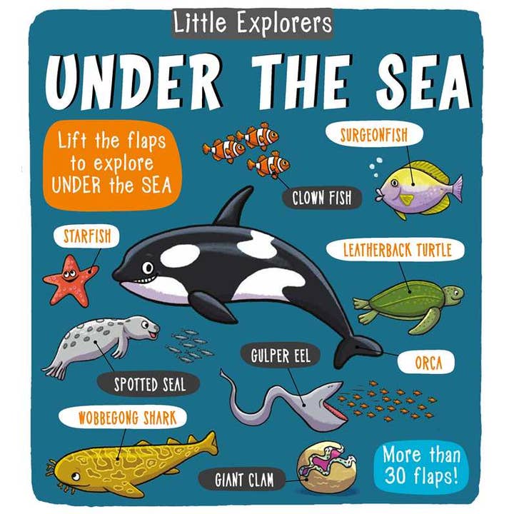 Little Explorers: Under the Sea by Little Bee Books for wholesale by Simon & Schuster