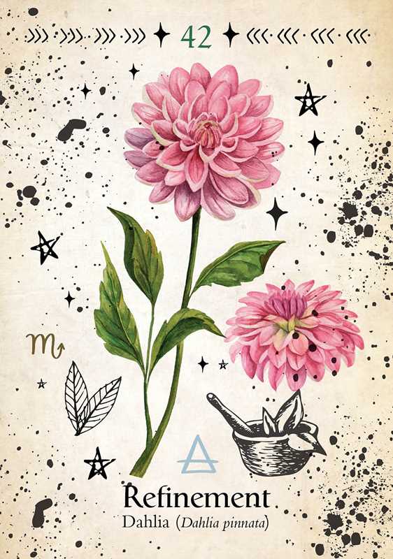 Simon & Schuster - Wholesale Tarot Cards - Green Witch Oracle Cards by Cheralyn Darcey4