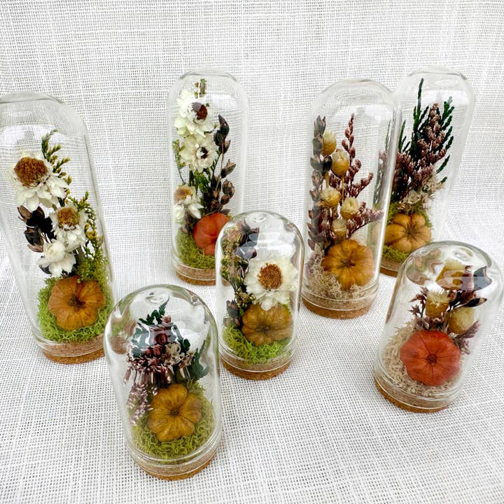 CA Studios - Wholesale Terrarium - Pumpkin Mix Mini Terrarium Potion Jar w Dried Florals5
