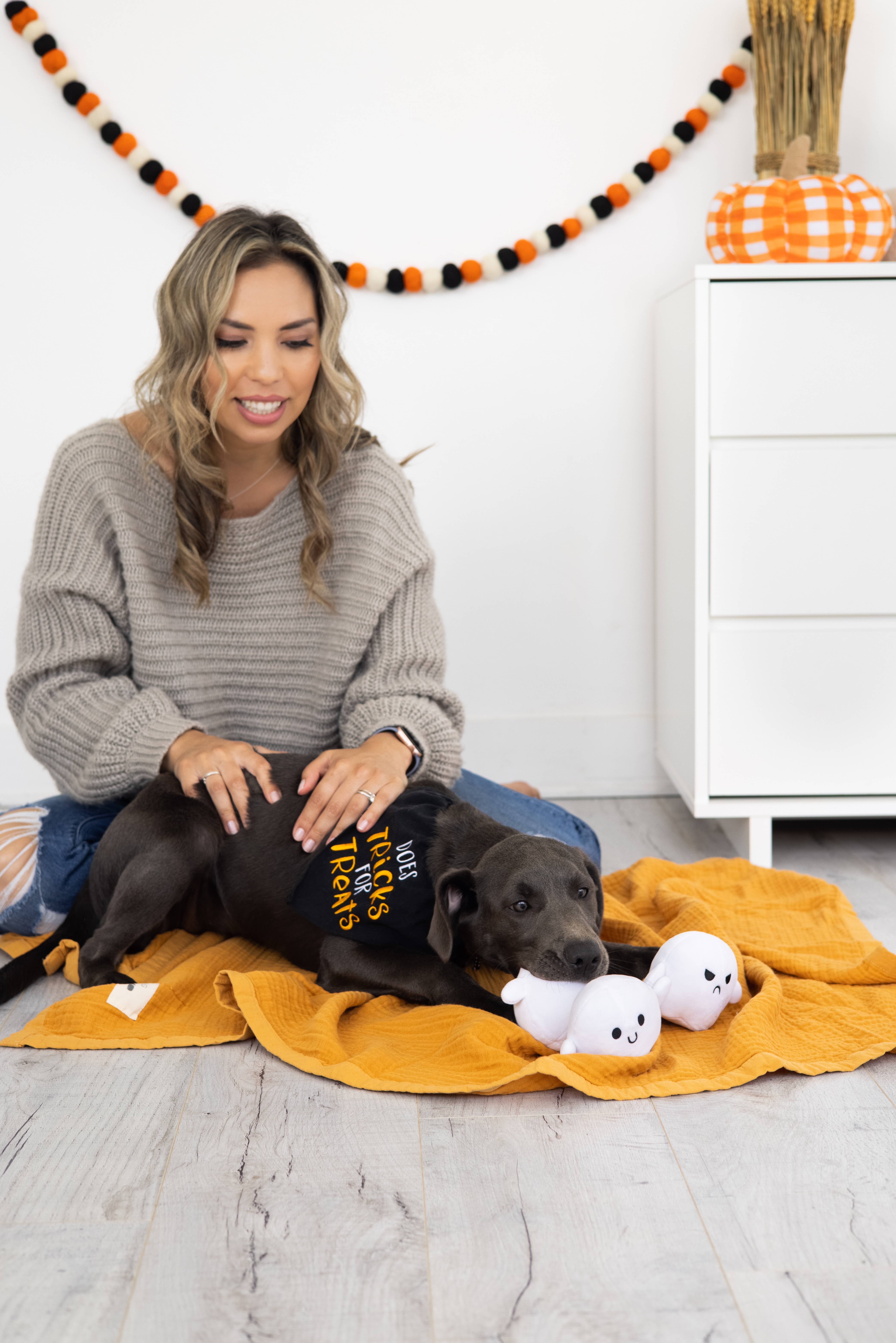 Pearhead - Wholesale Pet Plush Toy - Dog - Halloween Ghosts Dog Toys, Set of 35