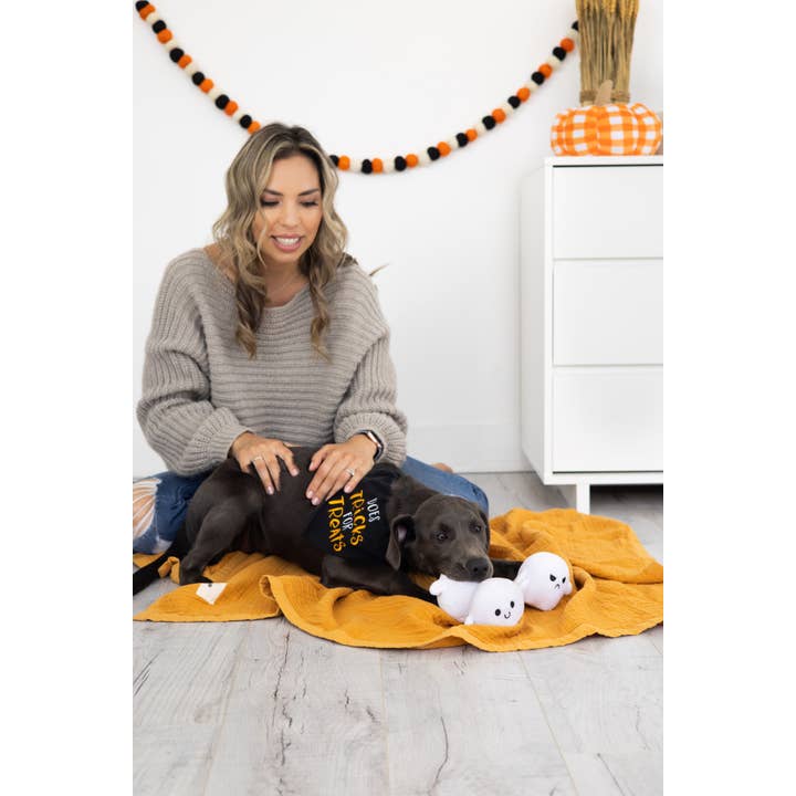 Pearhead - Wholesale Pet Plush Toy - Dog - Halloween Ghosts Dog Toys, Set of 35