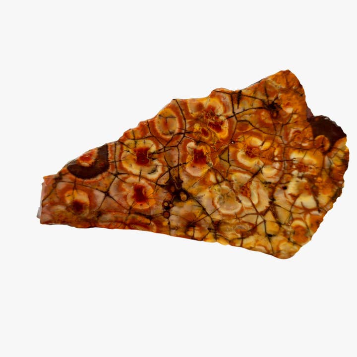 Dalle de rhyolite Birdseye - Toile d'araignée orange ardent et rouge pour la vente par Lapidary Central