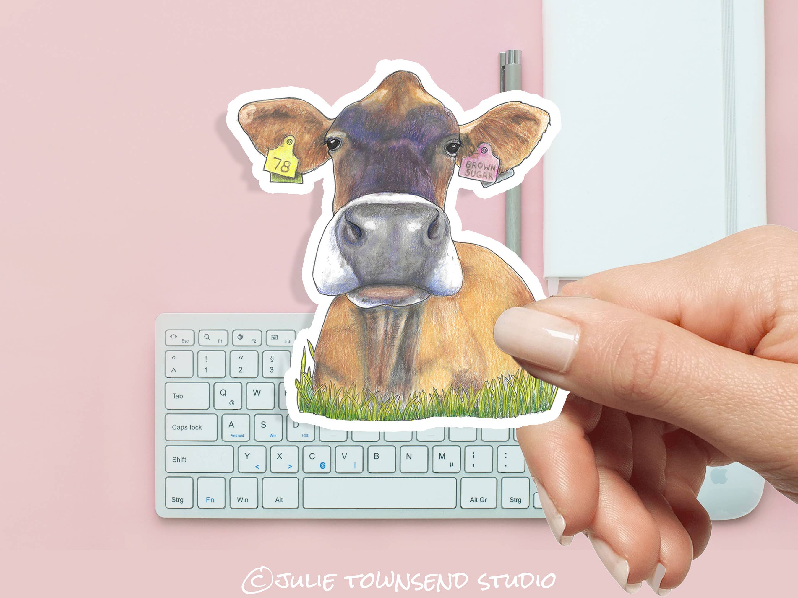 Julie Townsend Studio - Wholesale Sticker - Sticker - Jersey Dairy Cow - Handmade Waterproof Vinyl3