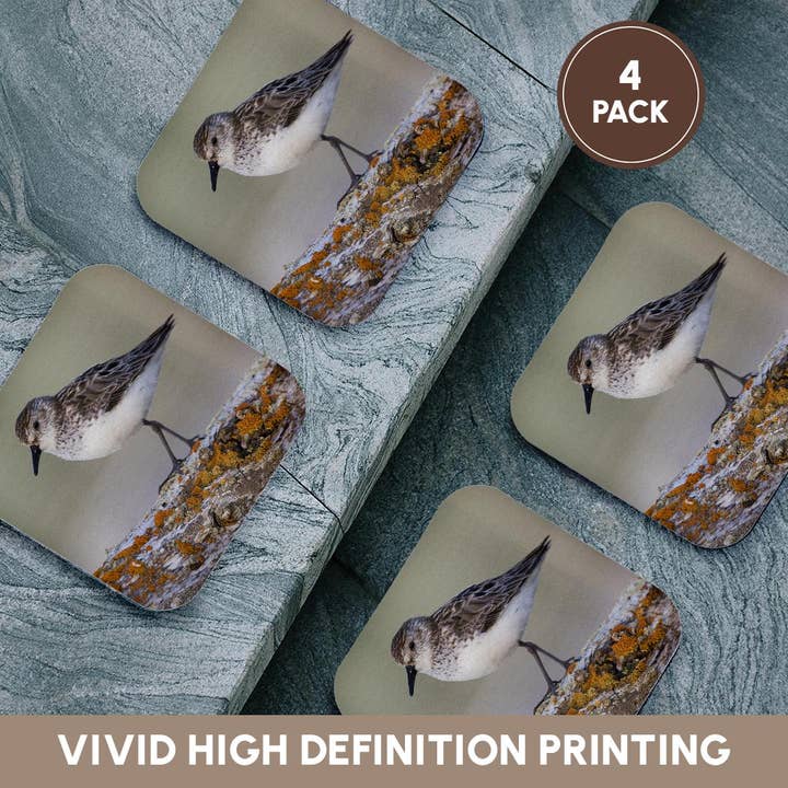 3dRose - Wholesale Coasters - 3dRose, Semipalmated sandpiper, Coaster12