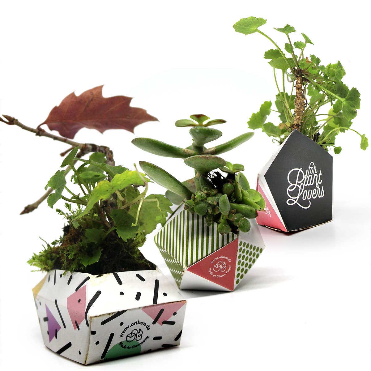 OriBon - Wholesale DIY Craft Kit - 3 OriBon - Modern collection2