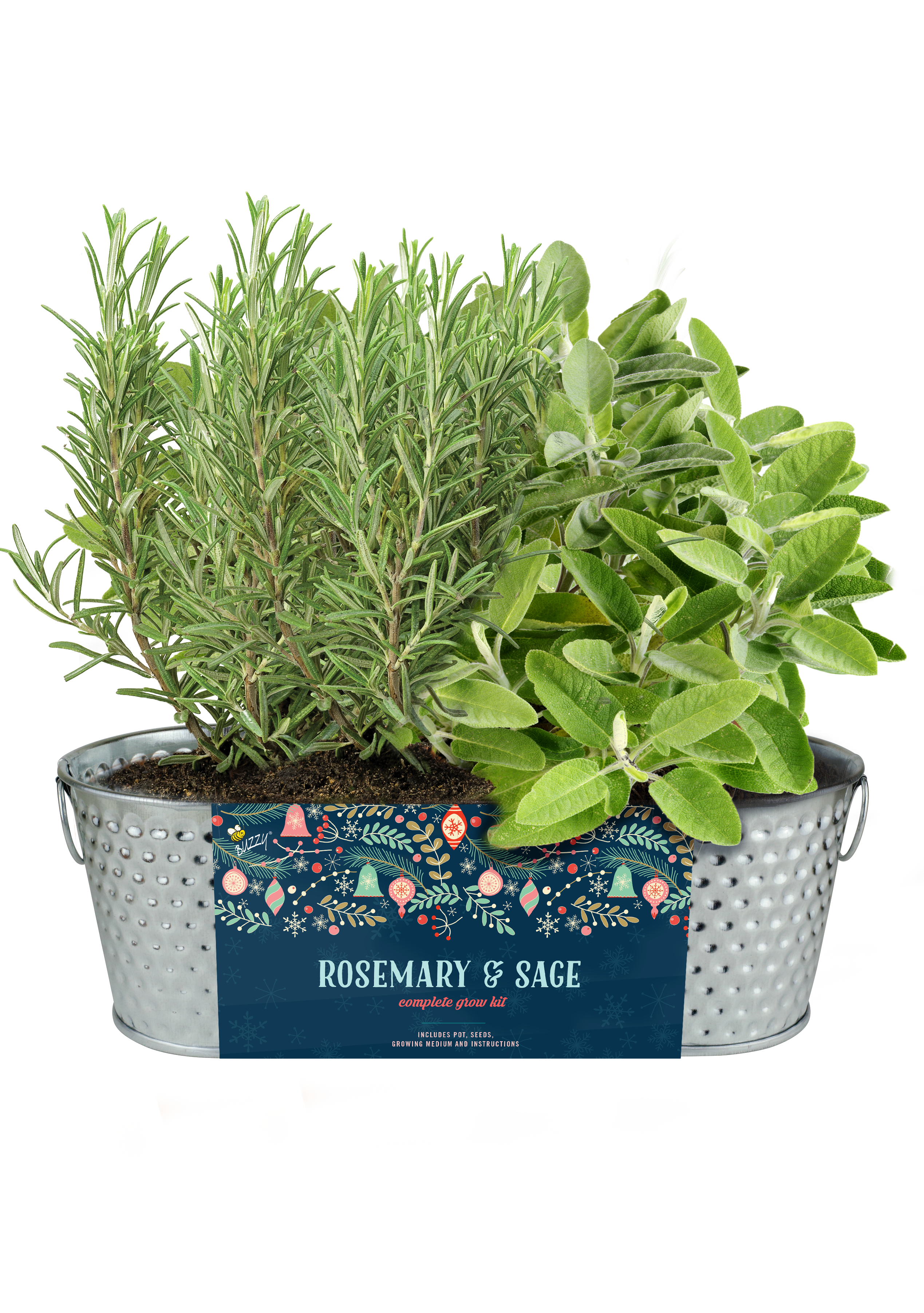 Buzzy Seeds Grow Gifts - Wholesale Plant Seeds - Hammered Holiday Windowsill Herb Kit – Rosemary & Sage Gift2