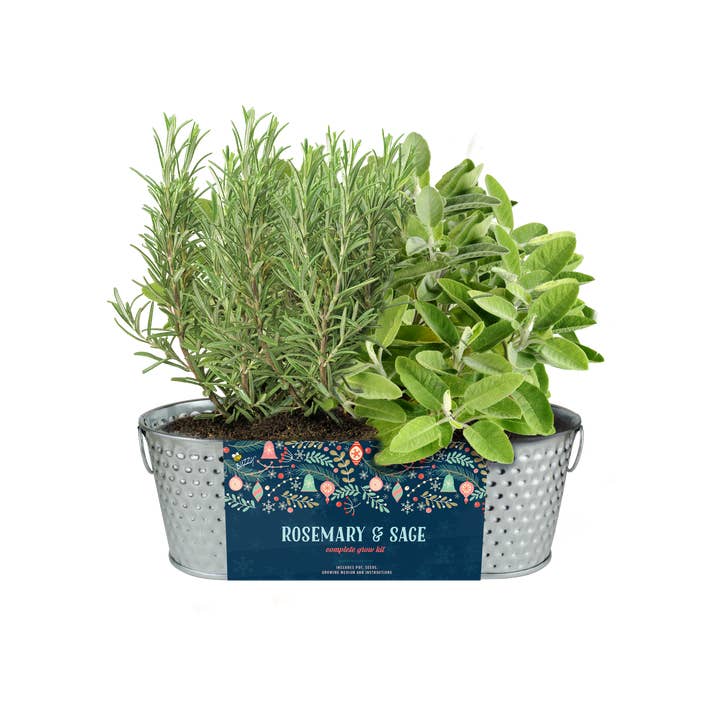 Buzzy Seeds Grow Gifts - Wholesale Plant Seeds - Hammered Holiday Windowsill Herb Kit – Rosemary & Sage Gift2
