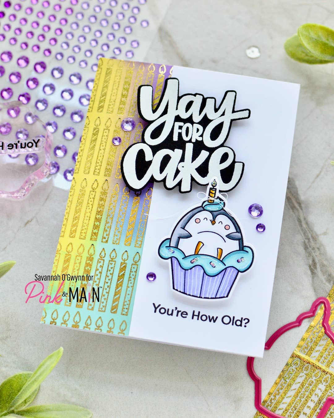 Pink and Main - Venta al por mayor Sello de goma/decorativo - Pingüinos de Fiesta5