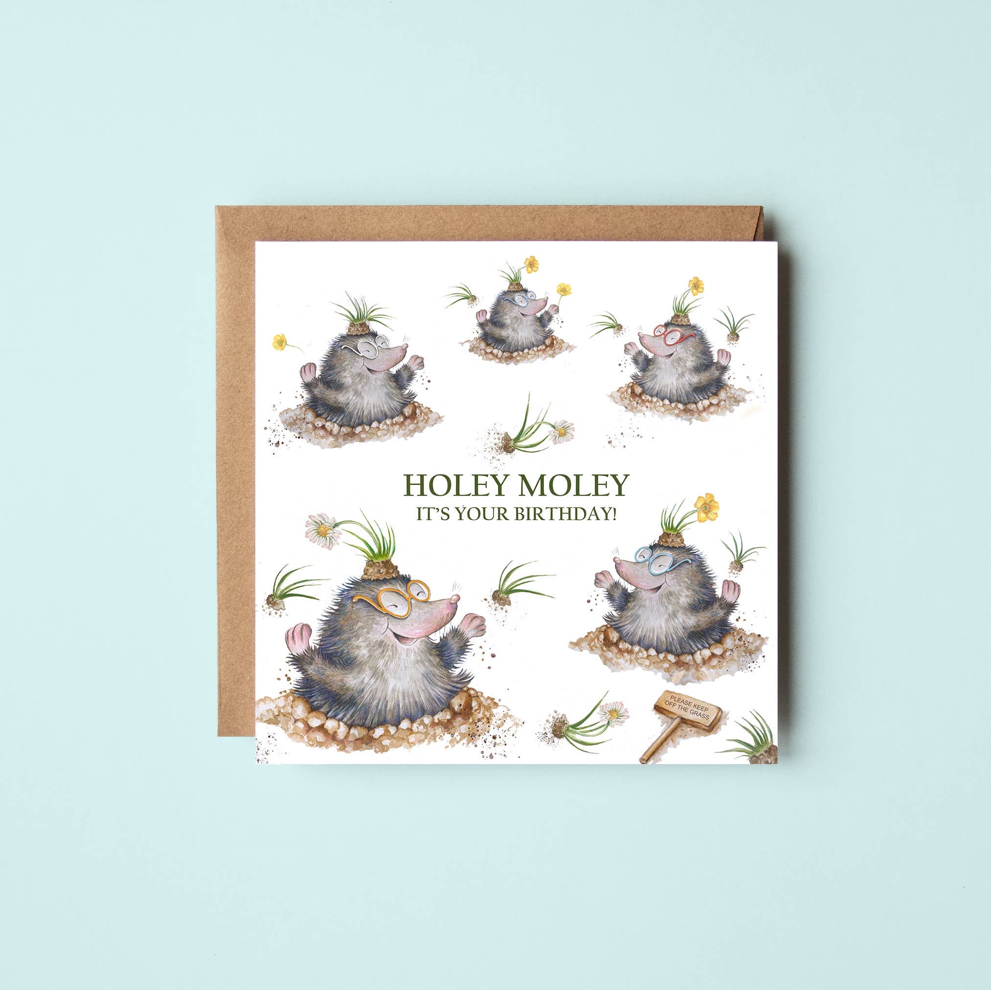 West Country Designs – wholesale Birthday card – Cheeky Mole Design Birthday Card1