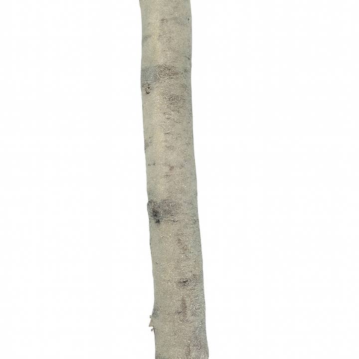 GS Foliage - Wholesale Craft Supplies - Decorative Glittered Birch Poles 18–24 Inches Long