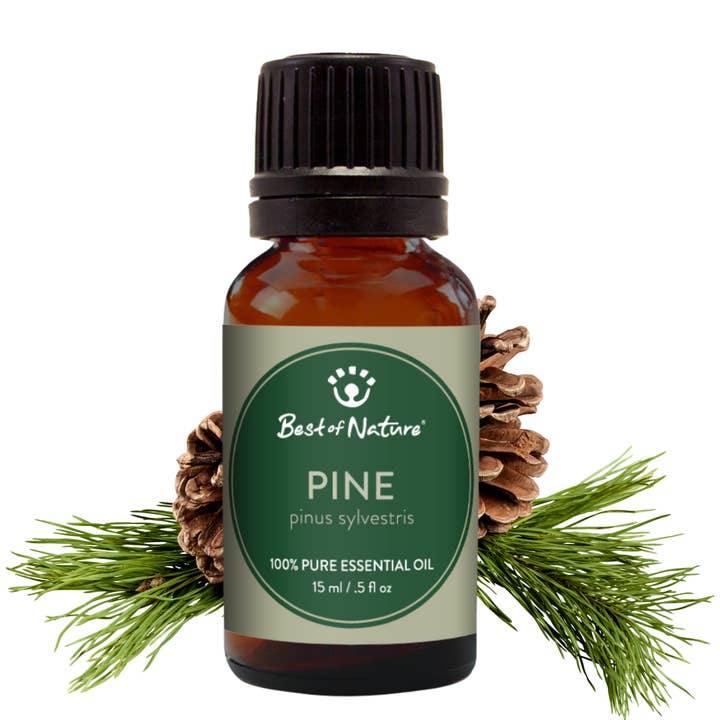 Pine Essential Oil, 100% Pure - 15ml for wholesale by Best of Nature