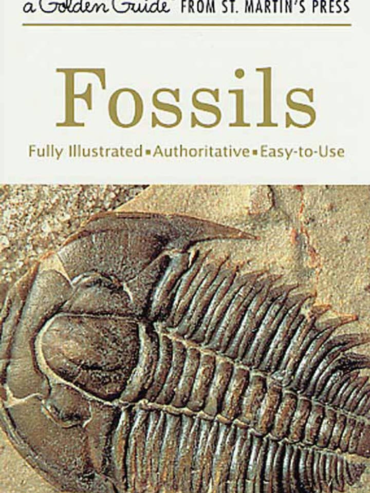 Fossils Illustrated, Authoritative Easy-To-use Guide for wholesale by Macmillan Publishers