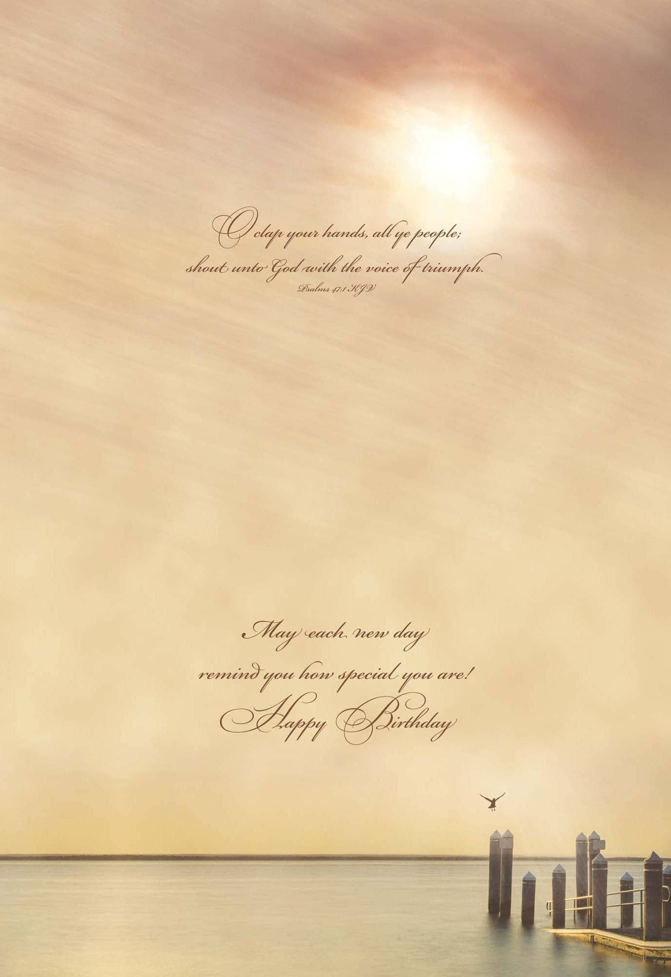 Crown Point Graphics - Wholesale Birthday Card - Celebrations -  48 Assorted Birthday Cards by Shared Blessings15