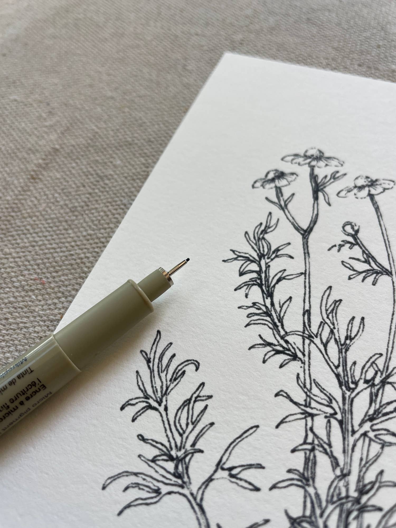 Kara Valentino Ffield Art - Wholesale Art Print - Chamomile |  Art Print 8