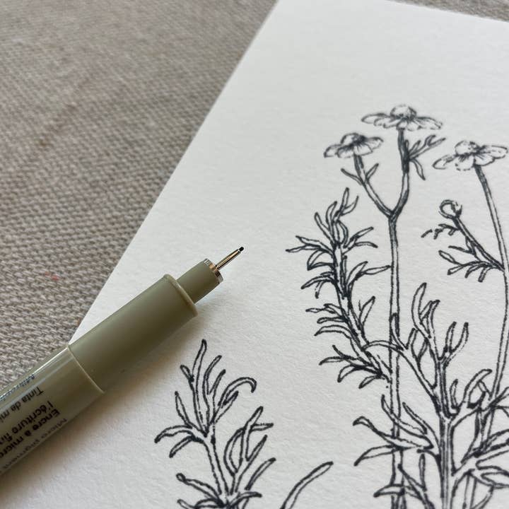 Kara Valentino Ffield Art - Wholesale Art Print - Chamomile | Art Print 8