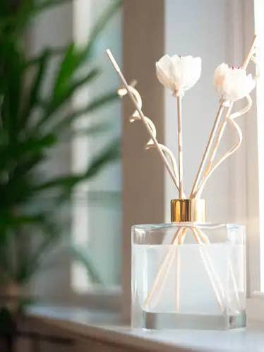 Reed Diffusers for wholesale by Basically Wicked