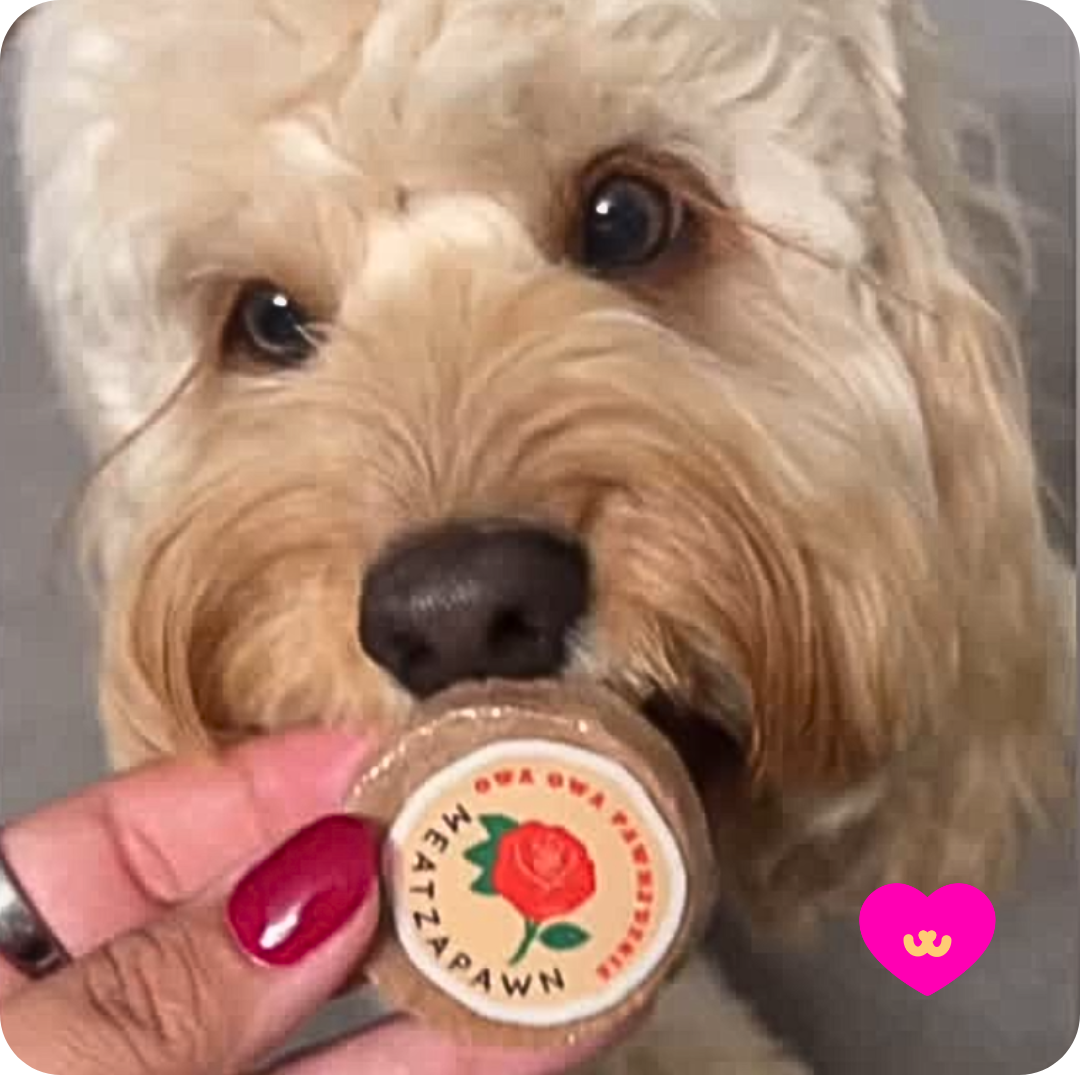 Owa Owa - Wholesale Pet Treats - Dog - Meatzapawn5