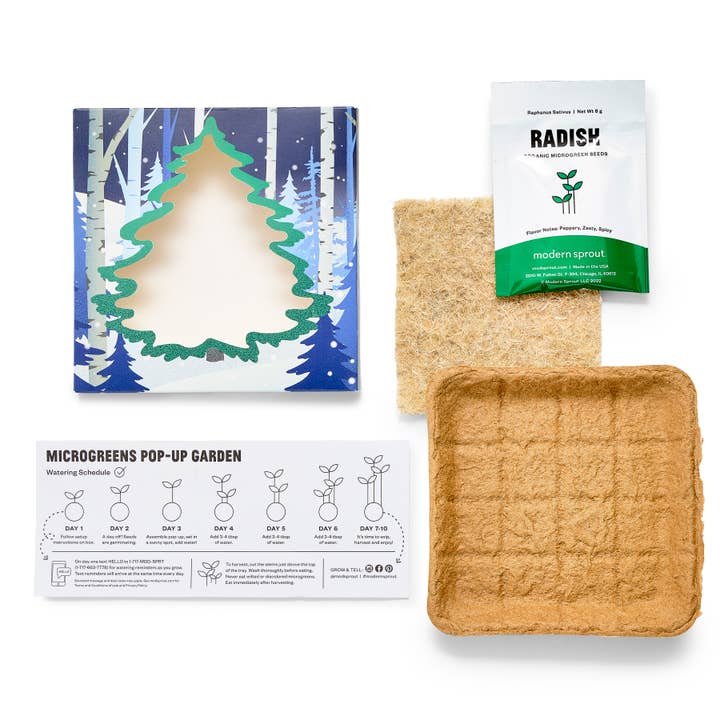 Modern Sprout - Wholesale DIY Craft Kit - Winter Wonderland Microgreens Kit1
